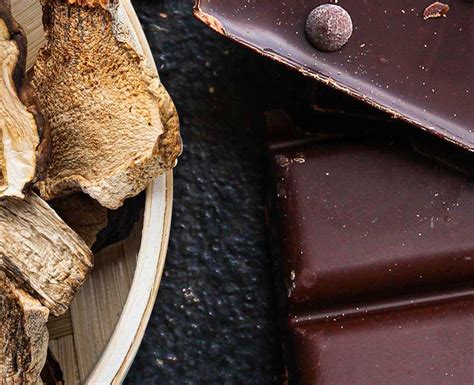 Magic Mushroom Chocolate Bars: A Natural Alternative to Traditional Medicines